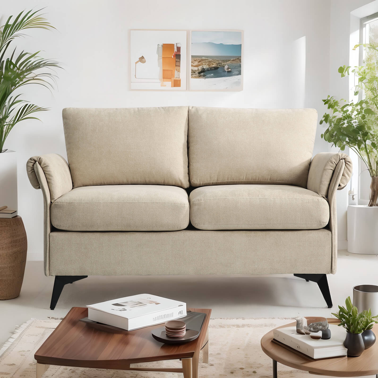 Loveseats Couch for Living Room